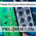 African Black Ant Pills new04